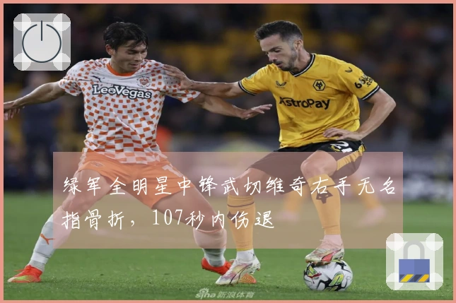 绿军全明星中锋武切维奇右手无名指骨折，107秒内伤退