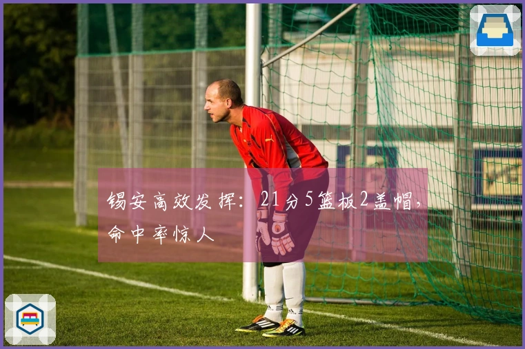 锡安高效发挥：21分5篮板2盖帽，命中率惊人