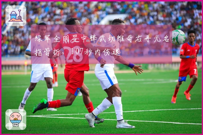 绿军全明星中锋武切维奇右手无名指骨折，107秒内伤退